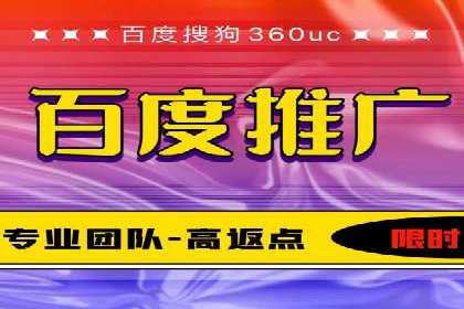 百度竞价代运营成功案例解析